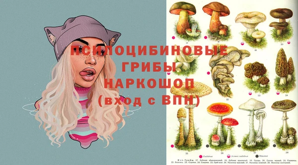 таблы Инсар