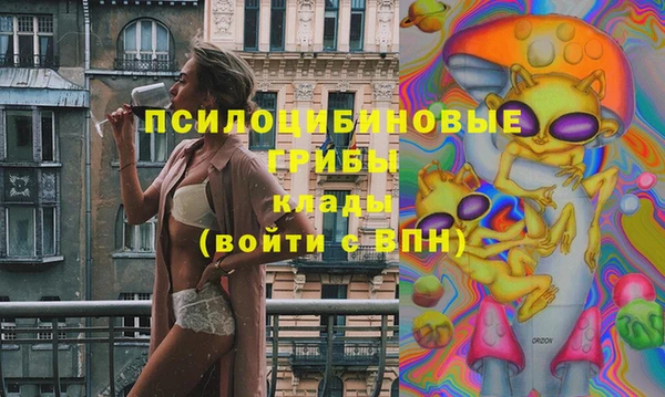spice Инта