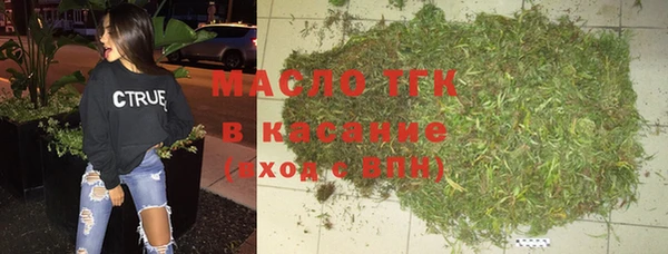 spice Инта