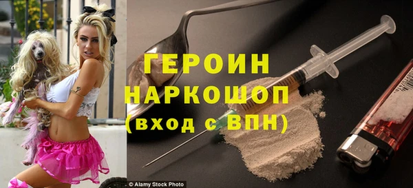 spice Инта